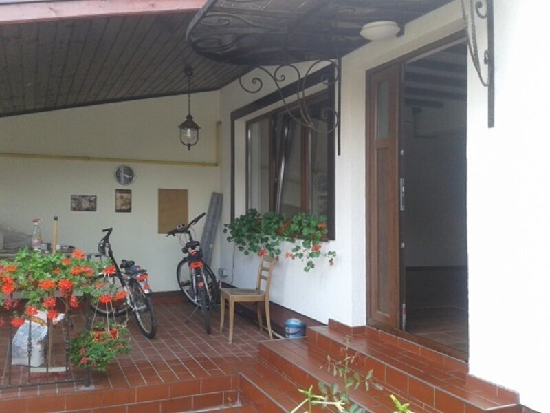 Nitu Vasile, Iarba Campului