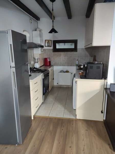 Nitu Vasile, Iarba Campului