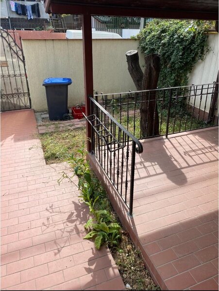 Nitu Vasile, Iarba Campului